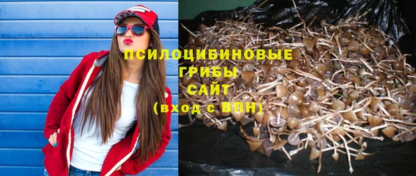 прущая мука Алексеевка